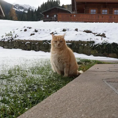 Lägenhet Trail & Tiefschnee Reith im Alpbachtal